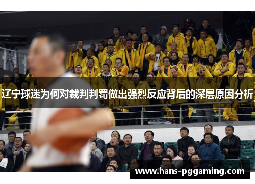辽宁球迷为何对裁判判罚做出强烈反应背后的深层原因分析 辽宁球迷为何对裁判判罚做出强烈反应背后的深层原因分析