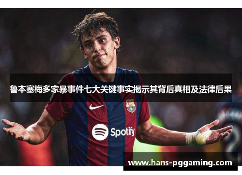 鲁本塞梅多家暴事件七大关键事实揭示其背后真相及法律后果