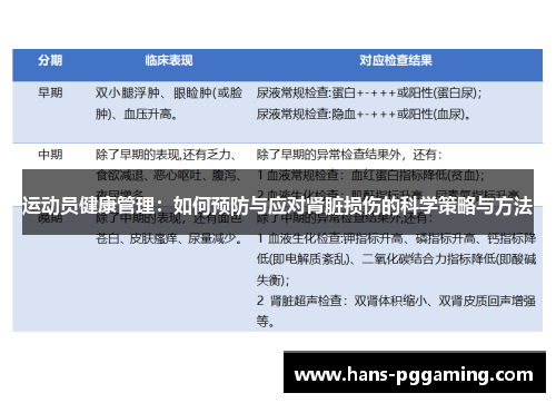 运动员健康管理:如何预防与应对肾脏损伤的科学策略与方法 运动员健康管理:如何预防与应对肾脏损伤的科学策略与方法