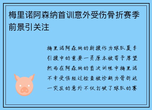 梅里诺阿森纳首训意外受伤骨折赛季前景引关注